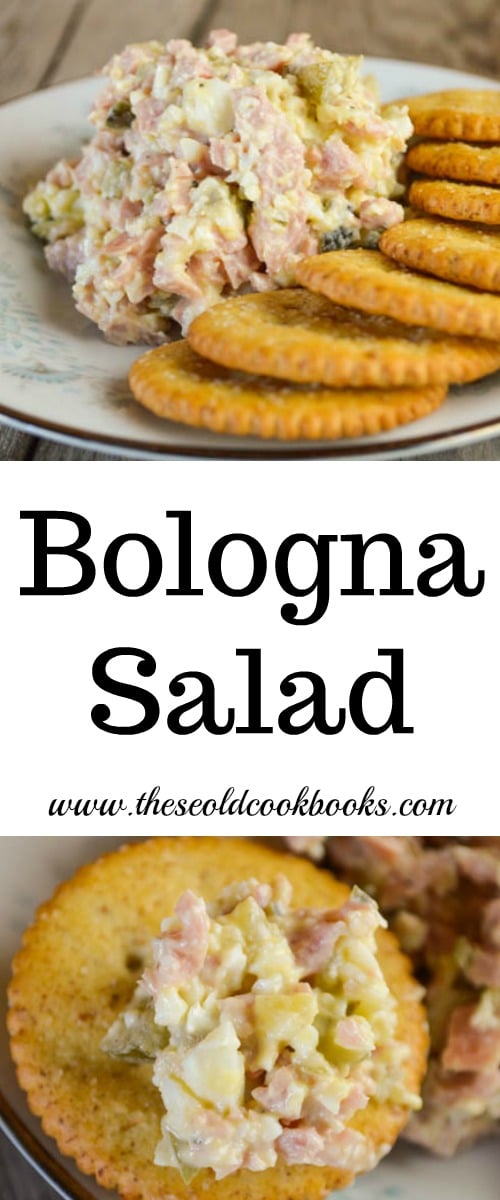 This Bologna Salad features just four ingredients and is perfect for a snack with crackers, spread on toast or as a sandwich with a slice of cheese and some lettuce.