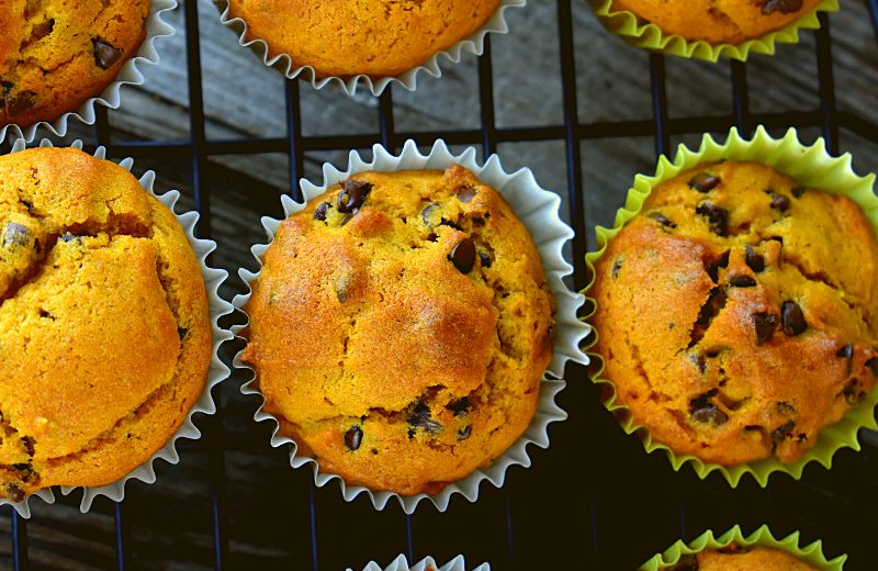 Easy Pumpkin Chocolate Chip Muffins – A Moist Pumpkin Muffin Recipe