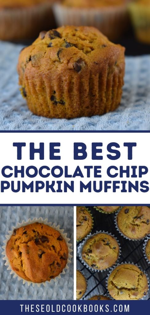 Pumpkin chocolate chip muffins are easy to make and will be a favorite wherever you take them.
