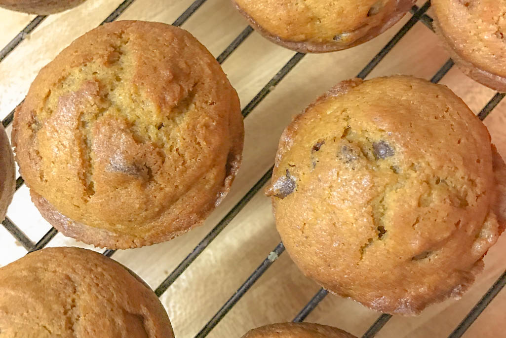 Mama Griggs's Pumpkin Bran Muffins are full of flavor - and chocolate chips - and are perfect for breakfast, afternoon snack or dessert.