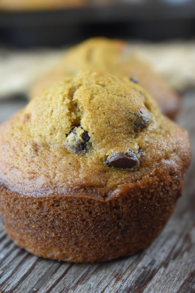 All-bran pumpkin muffins are easy to make and are a great breakfast or snack option. The chocolate chips make them even better.