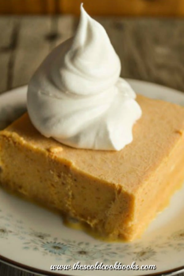 Frozen Pumpkin Delight Dessert is a combination of pumpkin and ice cream that is sweet and delicious.