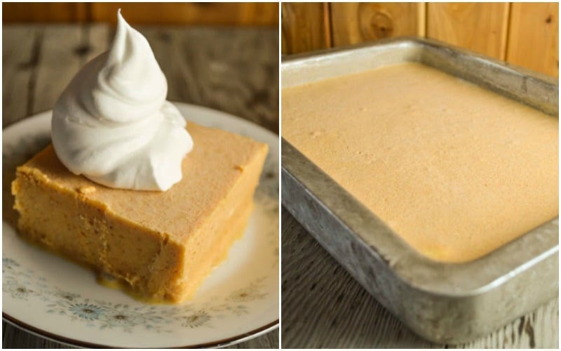 How To Make A Frozen Pumpkin Delight – A Pumpkin Ice Cream Cake