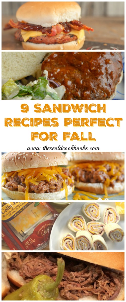 No matter if it is a farm field or a football field, fall is a busy season for many. These 9 sandwich recipes are perfect for on-the-go families.