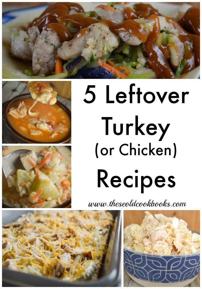 When you have leftover turkey or chicken in the fridge, try these 5 Leftover Turkey Recipes to keep your family happy while not wasting perfectly good food.