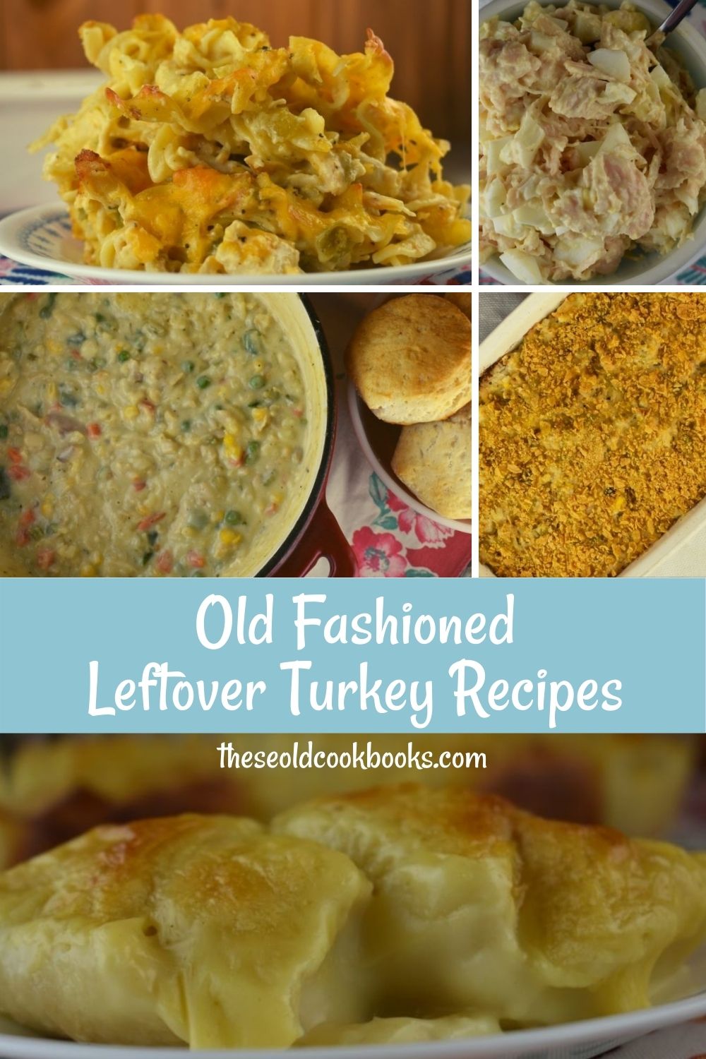 When you have leftover turkey or chicken in the fridge, try these 5 Leftover Turkey Recipes to keep your family happy while not wasting perfectly good food.
