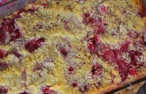 Grandma's Rhubarb Streusel Dessert features fresh rhubarb and a sweet crumbly topping. Using simple ingredients, rhubarb bars with shortbread crust will have the rhubarb-lovers in your life asking for seconds.