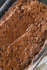 Old-Fashioned Boiled Raisin Cake with Brown Sugar Frosting is a spice cake featuring raisins cooked in brown sugar. This vintage cake is flavored with a combination of cocoa, cinnamon nutmeg, ground cloves and allspice.