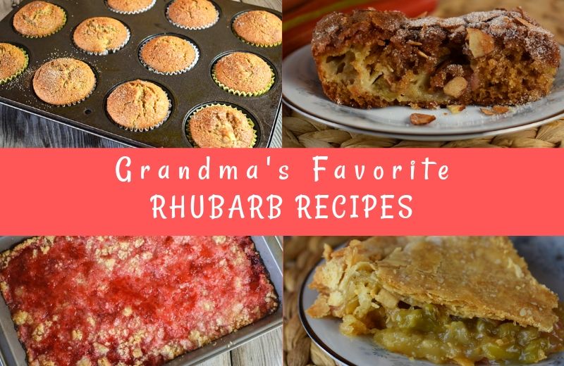 Grandma’s Best Rhubarb Recipes