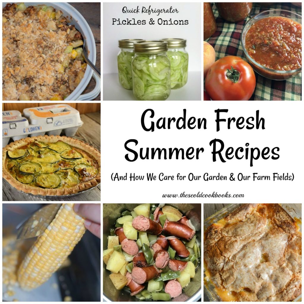 These Garden Fresh Summer Recipes use vegetables (and fruits) that many of us often grow each summer, but the recipes are perfect for your table all year round. From fresh salads to yummy desserts, summer vegetables are the perfect ingredient in so many dishes.
