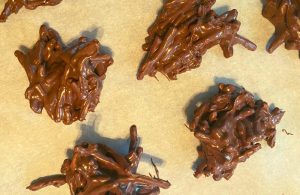 Old Fashioned Ting A Lings are a chocolate butterscotch no bake cookie made with only 4 ingredients.  The classic crunchy texture comes from a surprise ingredient---chow mein noodles. Whip these simple treats up in a flash.