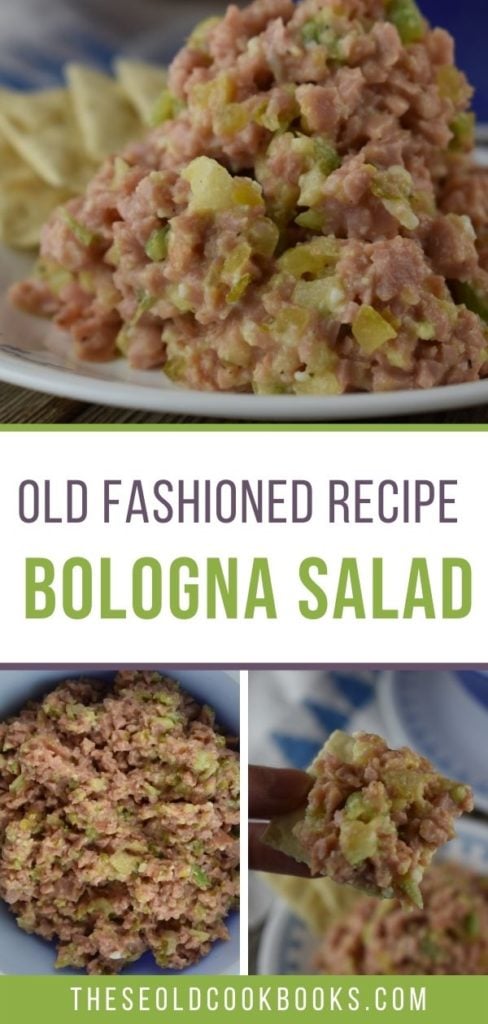 The sweet and tangy dressing in this bologna salad perfectly pairs with the classic ingredients of bologna, relish, onions, celery and hard-boiled eggs. Serve it on sliced bread or on crackers for a vintage dinner.