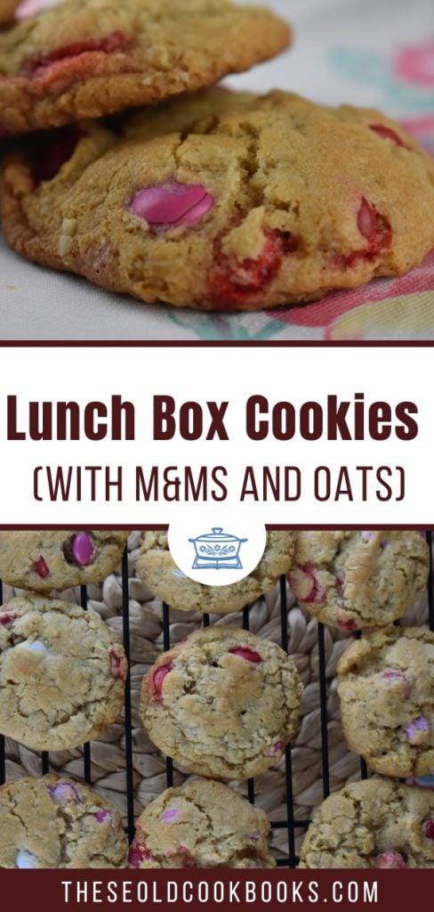 These lunch box cookies feature M&M candies and oats.
