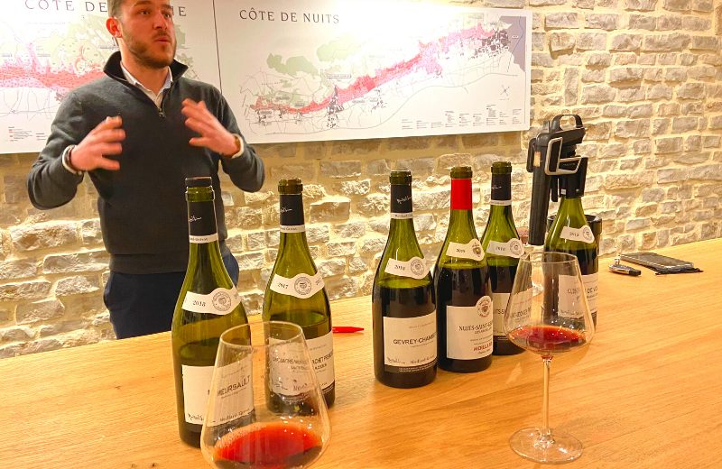 Winemaker explains the difference between several bottles of wine at the vineyard of Burgundy.