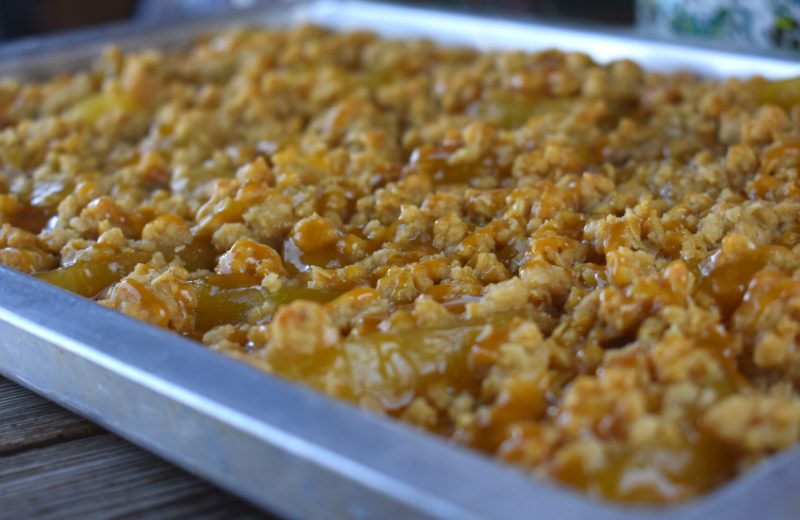 Take a pan of these caramel apple crisp bars to your next pitch-in and everyone will be asking for the recipe.