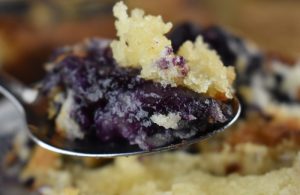 Old Fashioned Blueberry Cobbler is as easy as a cobbler can be.  Make this  Southern Blueberry Cobbler recipe with either fresh or frozen blueberries.  It's great on its own but can be served topped with vanilla ice cream or whipped cream too.