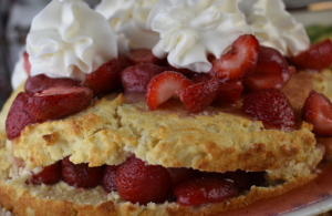 Making strawberry shortcake from scratch is easy!  Follow this simple recipe for a large strawberry shortcake that will serve a crowd.  This simple dessert is a show-stopper!