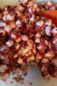 Cranberry Fluff is an old school cranberry salad with fresh cranberries and walnuts.  This treat is the perfect holiday side dish to take you back to the good old days.