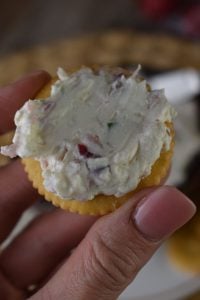 This easy dip recipe is classic picnic food. Radishes, green onions, cream cheese and onion powder create a creamy, white radish dip that goes surprisingly well with sliced meats and cheese.