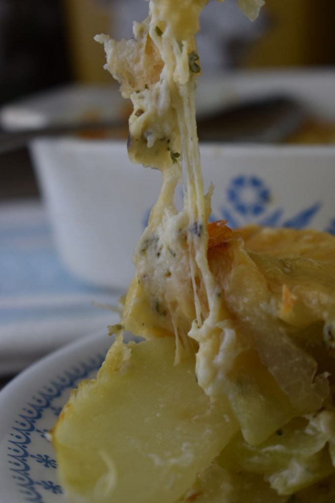 The cheese is an important ingredient in this scalloped Kohlrabi recipe.