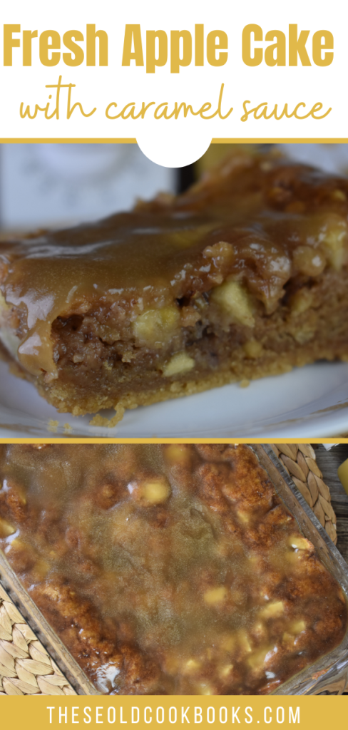 Experience the stunning taste of this delicious Fresh Apple Cake Recipe. Learn how easy and quick it is to be able to make this perfectly prepared Apple Cake.
